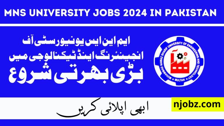 MNS University of Engineering and Technology Jobs (2024-25) For Teaching Staff